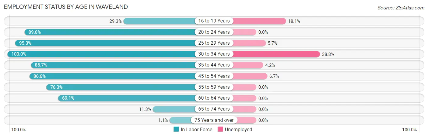 Employment Status by Age in Waveland