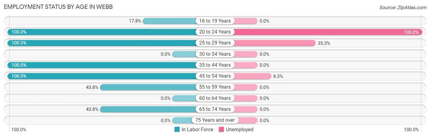 Employment Status by Age in Webb