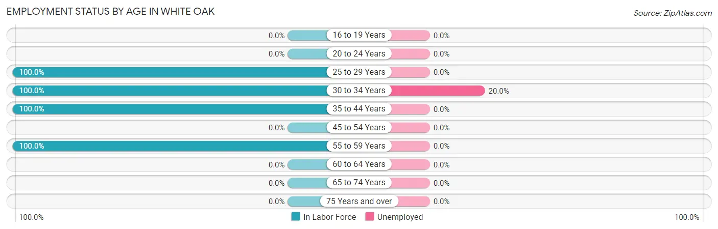 Employment Status by Age in White Oak