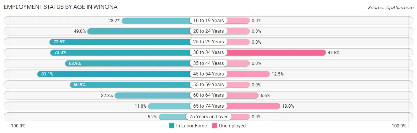 Employment Status by Age in Winona