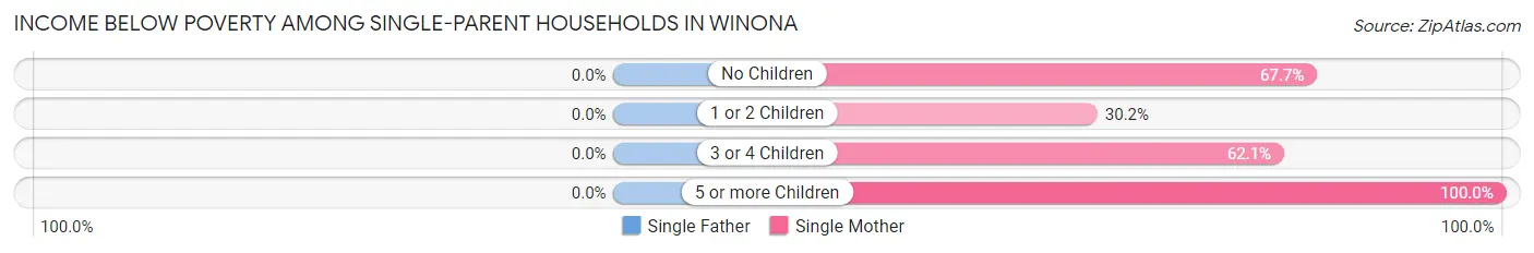 Income Below Poverty Among Single-Parent Households in Winona