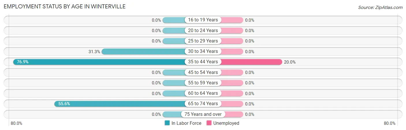 Employment Status by Age in Winterville