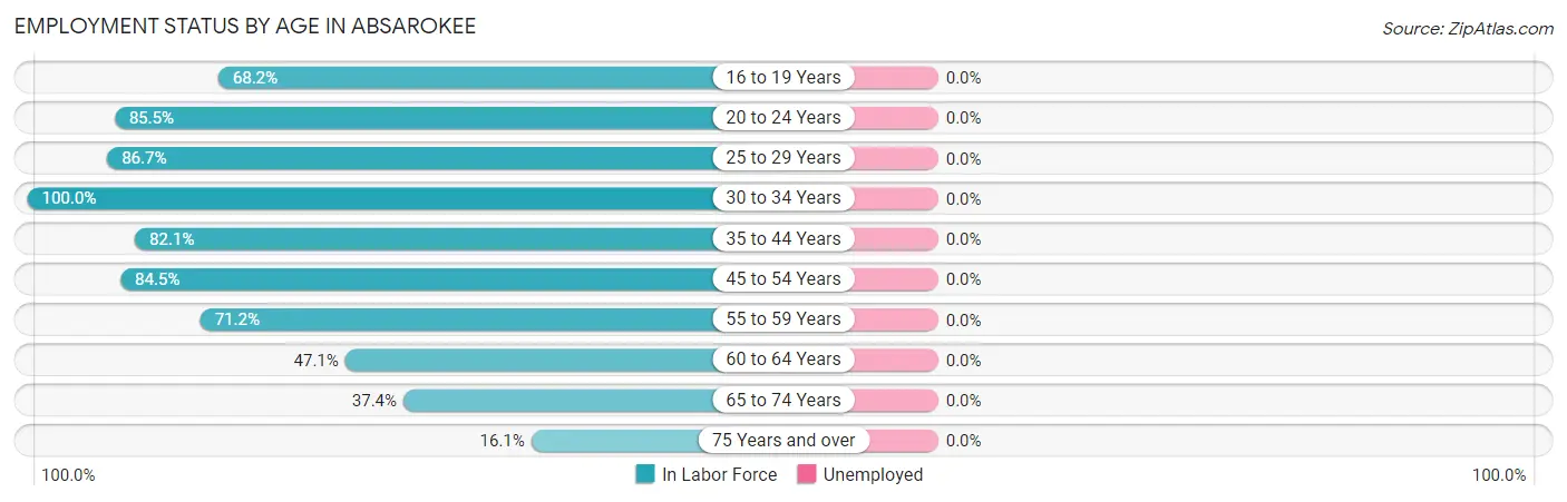 Employment Status by Age in Absarokee