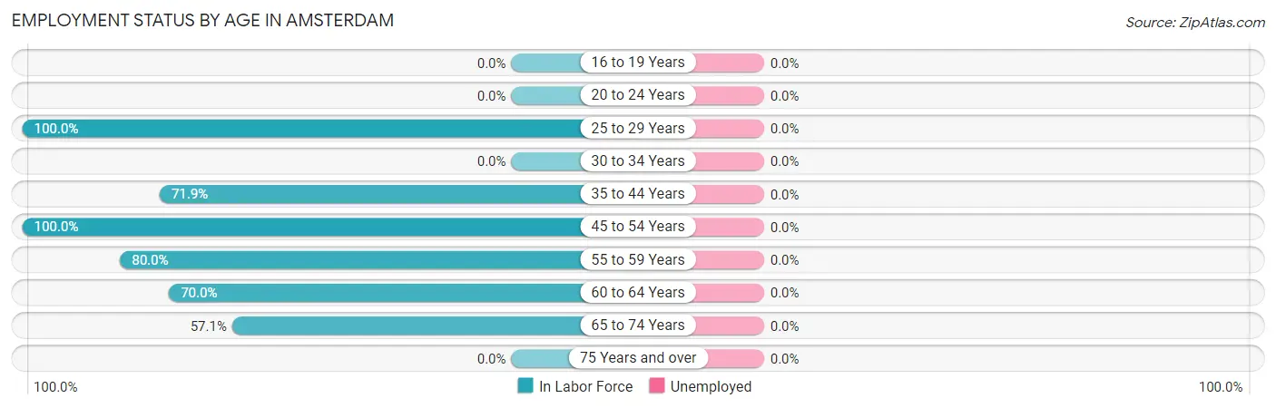 Employment Status by Age in Amsterdam