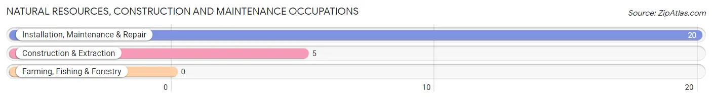 Natural Resources, Construction and Maintenance Occupations in Arlee