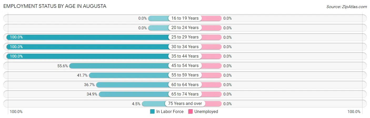 Employment Status by Age in Augusta