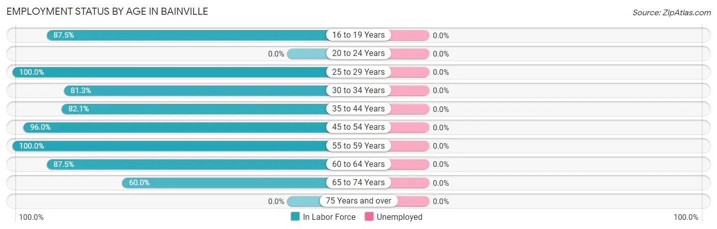 Employment Status by Age in Bainville