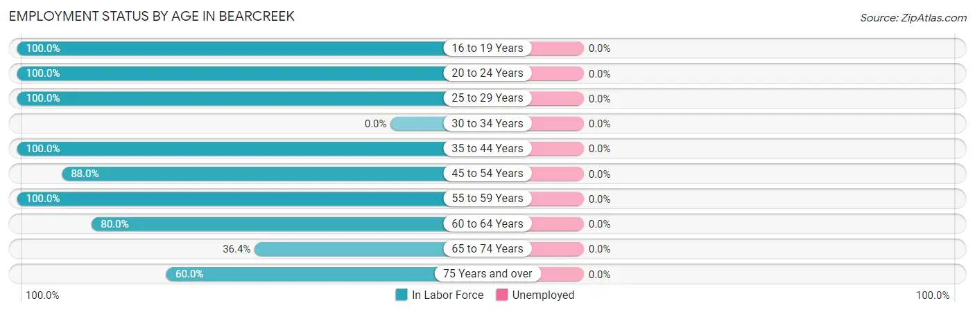 Employment Status by Age in Bearcreek