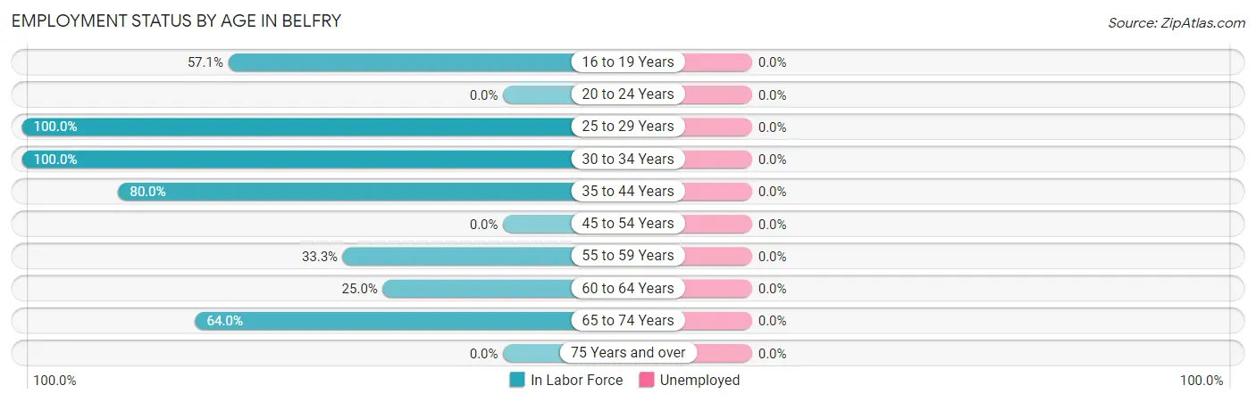 Employment Status by Age in Belfry