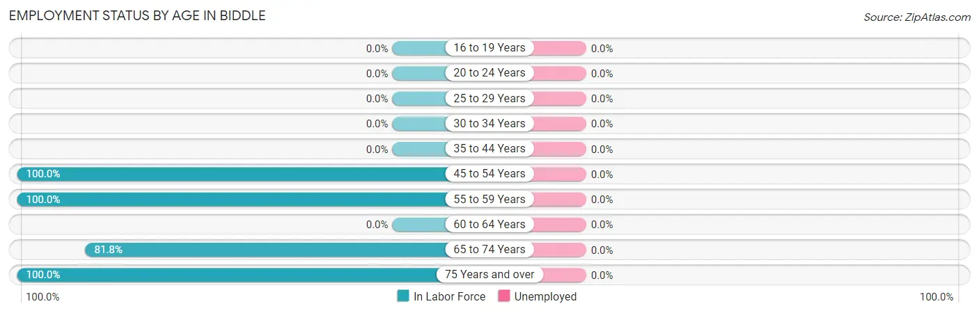 Employment Status by Age in Biddle