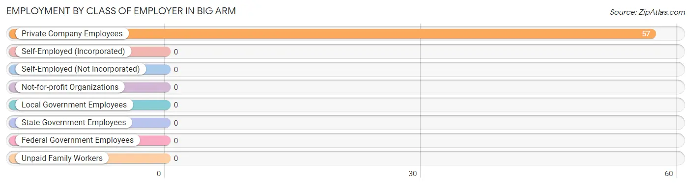 Employment by Class of Employer in Big Arm