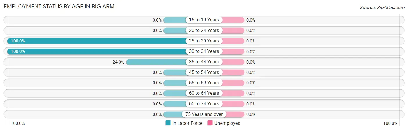 Employment Status by Age in Big Arm