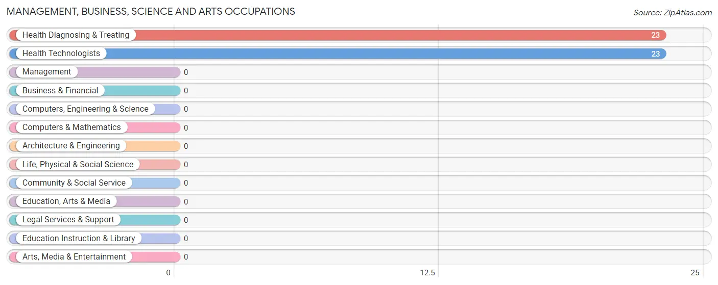 Management, Business, Science and Arts Occupations in Big Arm