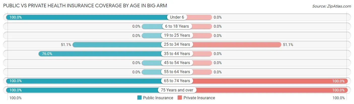 Public vs Private Health Insurance Coverage by Age in Big Arm