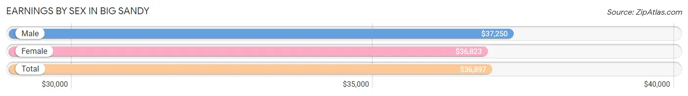 Earnings by Sex in Big Sandy