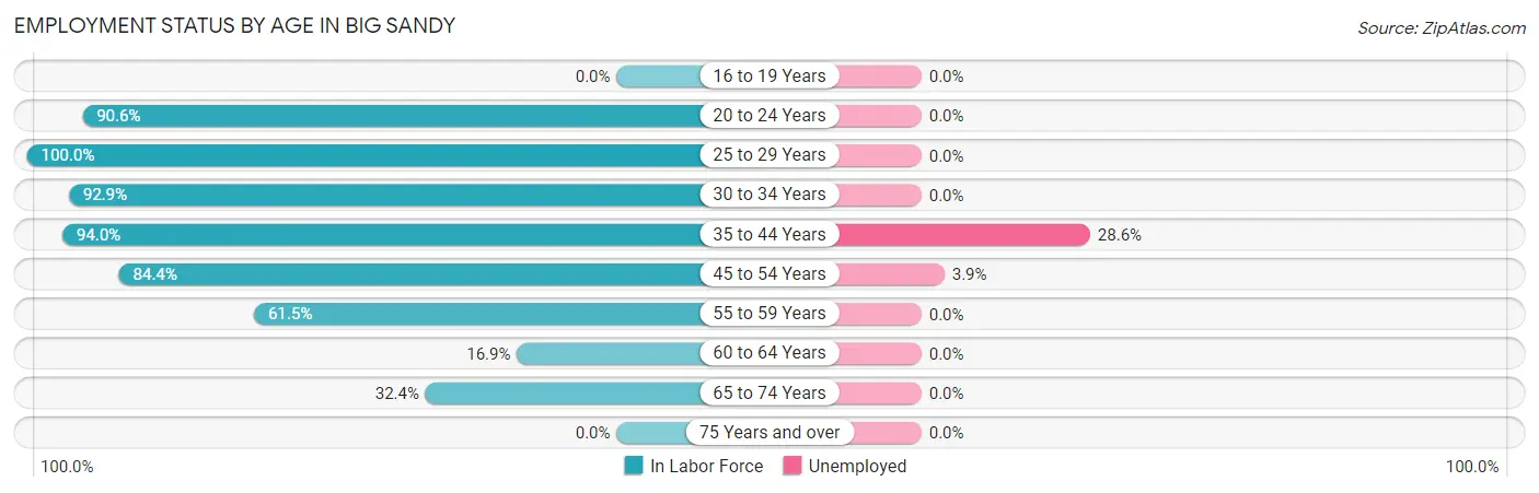 Employment Status by Age in Big Sandy