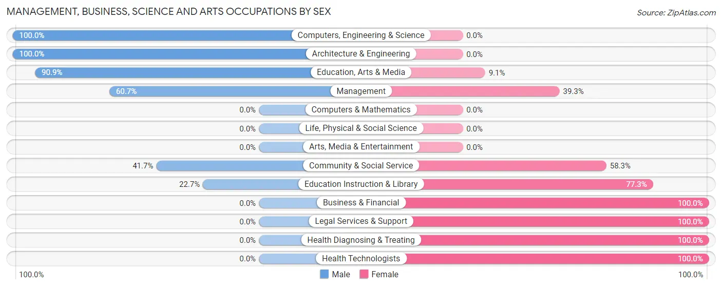 Management, Business, Science and Arts Occupations by Sex in Big Sandy