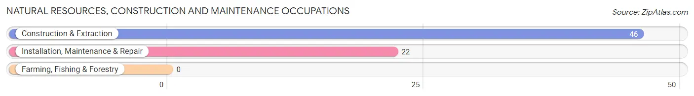 Natural Resources, Construction and Maintenance Occupations in Big Sandy