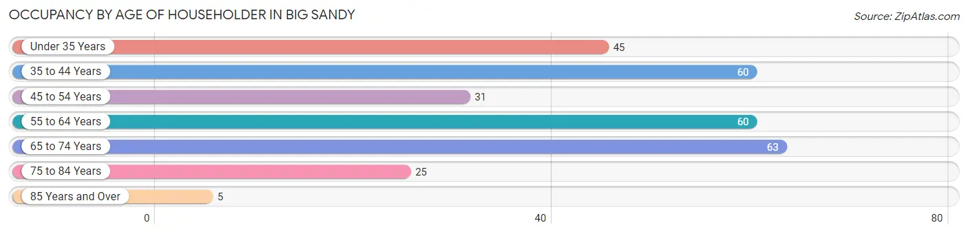 Occupancy by Age of Householder in Big Sandy