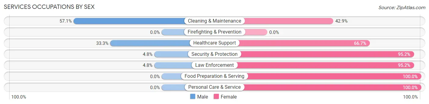 Services Occupations by Sex in Big Sandy