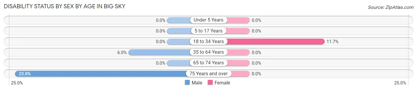 Disability Status by Sex by Age in Big Sky