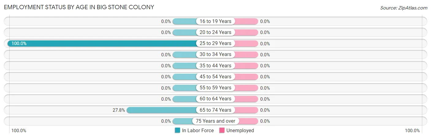 Employment Status by Age in Big Stone Colony