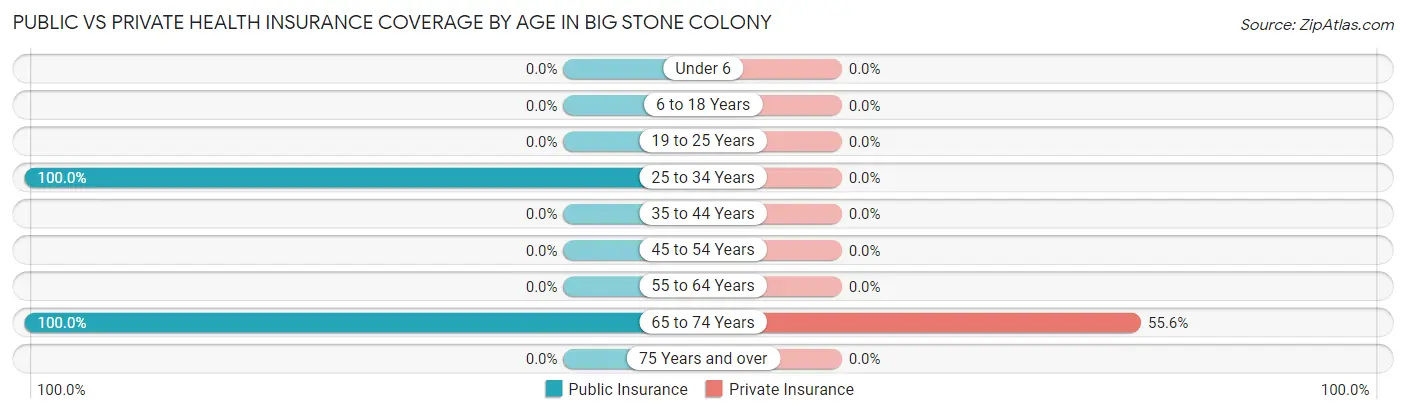 Public vs Private Health Insurance Coverage by Age in Big Stone Colony