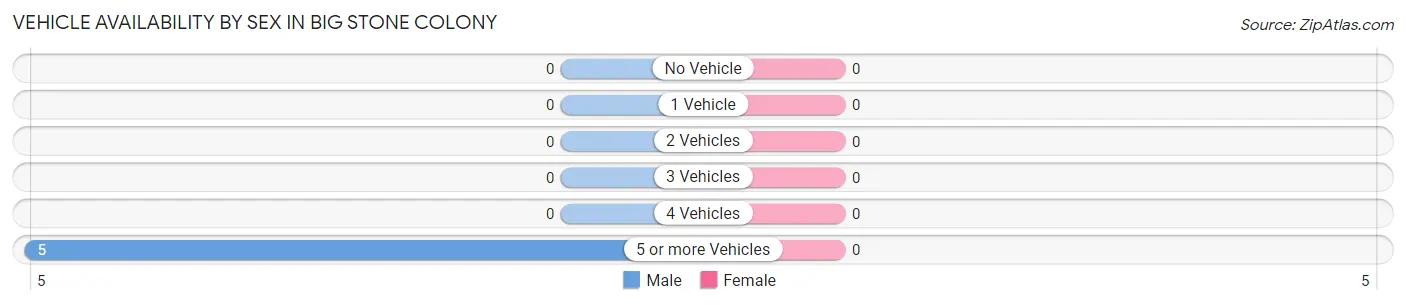 Vehicle Availability by Sex in Big Stone Colony