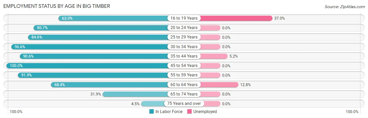 Employment Status by Age in Big Timber