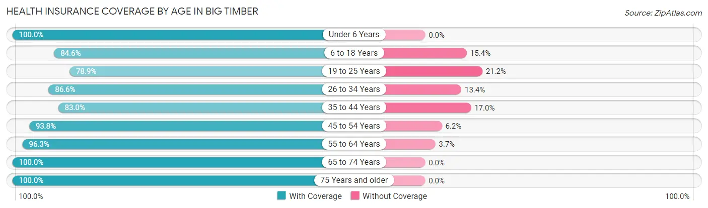 Health Insurance Coverage by Age in Big Timber