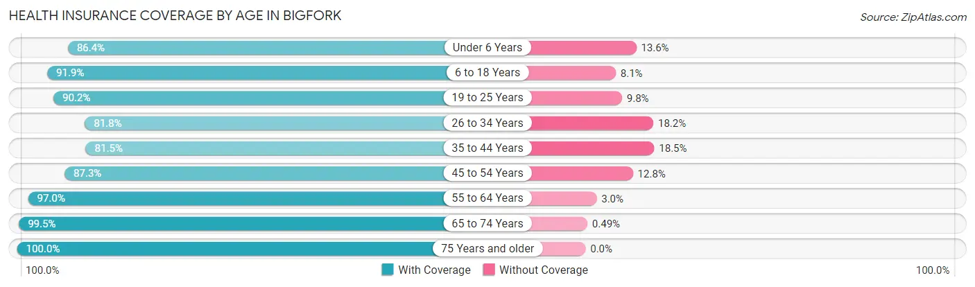 Health Insurance Coverage by Age in Bigfork