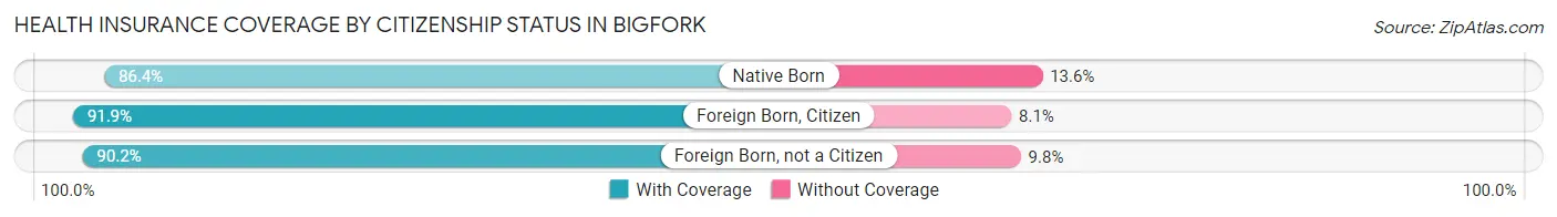 Health Insurance Coverage by Citizenship Status in Bigfork