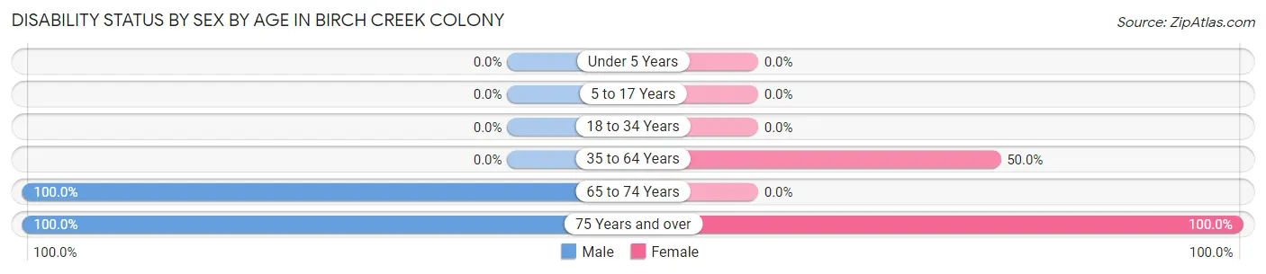 Disability Status by Sex by Age in Birch Creek Colony