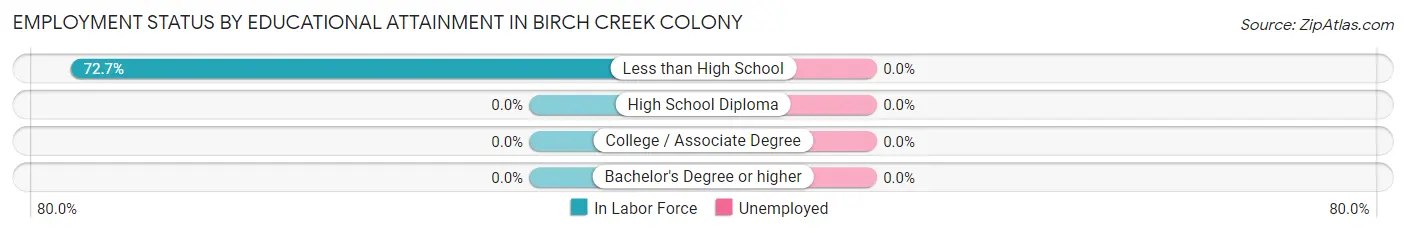 Employment Status by Educational Attainment in Birch Creek Colony