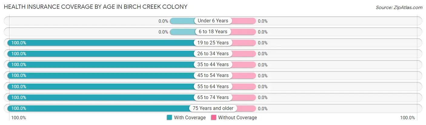 Health Insurance Coverage by Age in Birch Creek Colony
