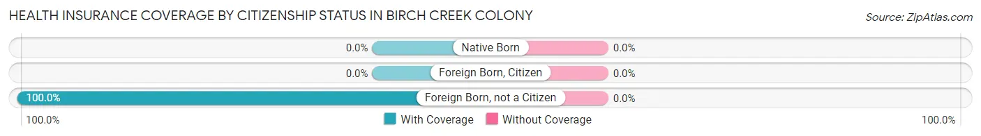 Health Insurance Coverage by Citizenship Status in Birch Creek Colony