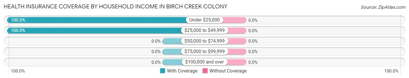 Health Insurance Coverage by Household Income in Birch Creek Colony