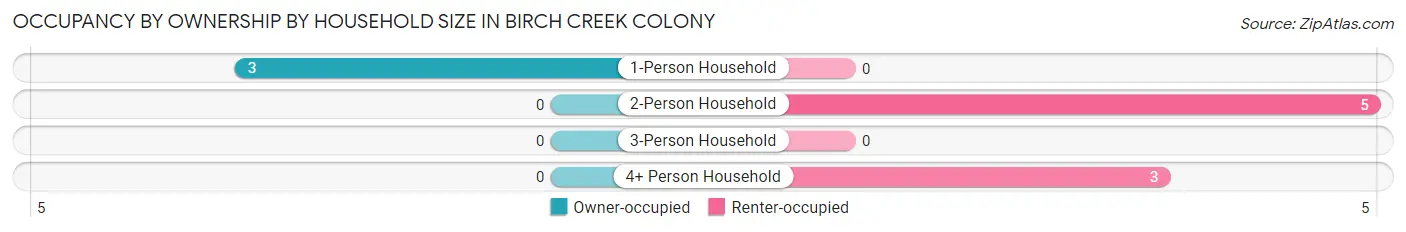 Occupancy by Ownership by Household Size in Birch Creek Colony