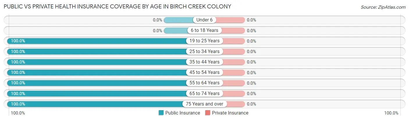 Public vs Private Health Insurance Coverage by Age in Birch Creek Colony