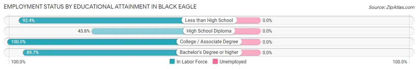 Employment Status by Educational Attainment in Black Eagle