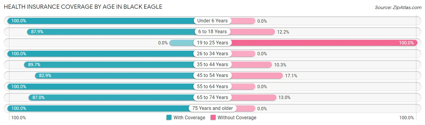 Health Insurance Coverage by Age in Black Eagle