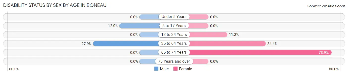 Disability Status by Sex by Age in Boneau