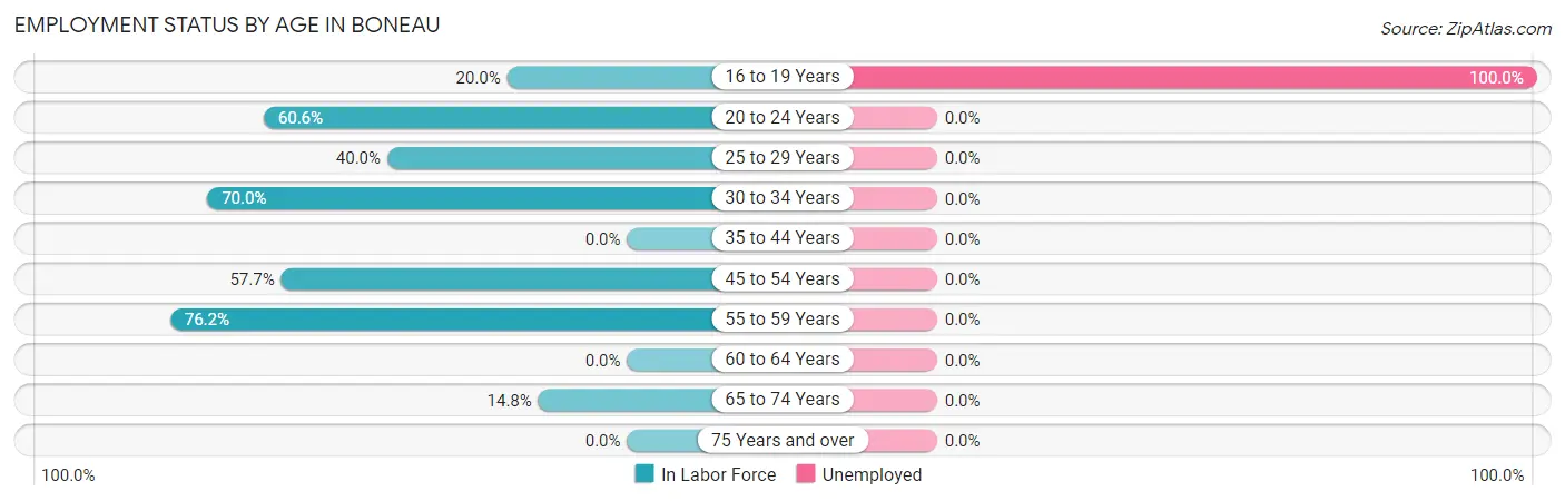 Employment Status by Age in Boneau