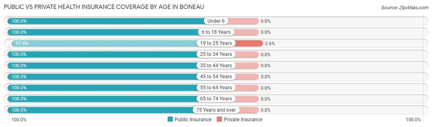 Public vs Private Health Insurance Coverage by Age in Boneau
