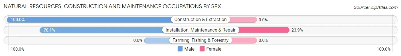 Natural Resources, Construction and Maintenance Occupations by Sex in Bonner West Riverside