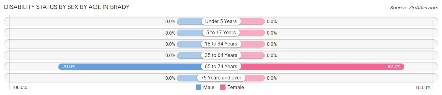 Disability Status by Sex by Age in Brady