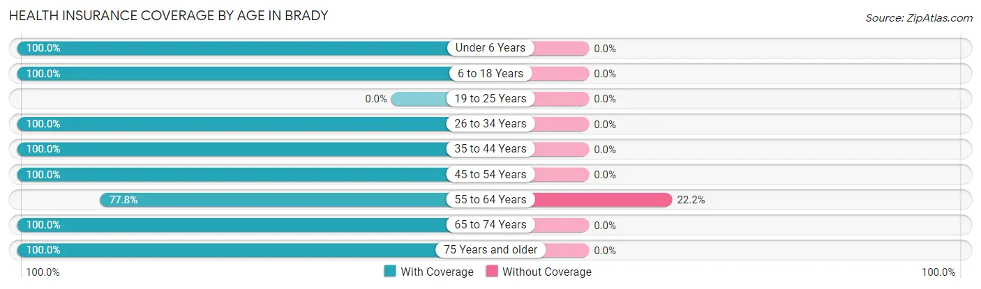 Health Insurance Coverage by Age in Brady