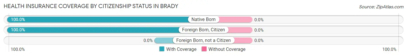Health Insurance Coverage by Citizenship Status in Brady