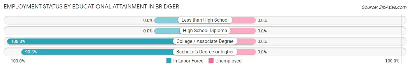Employment Status by Educational Attainment in Bridger