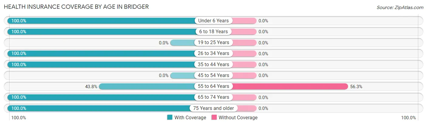 Health Insurance Coverage by Age in Bridger